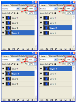 Technology@work (and play): Reduce noise in your digital photos